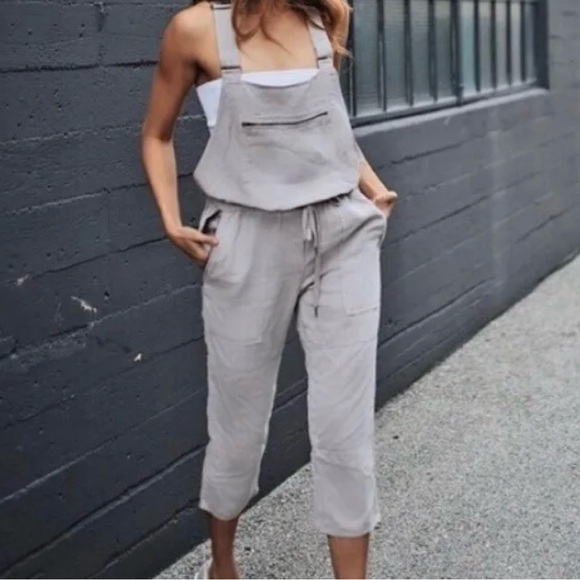 Aritzia Pants - Wilfred Free Valletta Overall